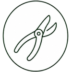 schnitt